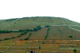 اراضی شیب‌دار گلستان؛ از کانون بحران تا موتور محرک اقتصاد